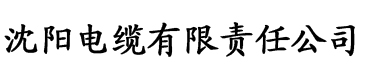 91污香蕉视频破解版电缆厂logo